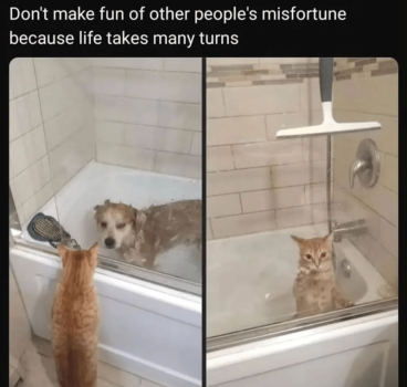 1737413991908.png