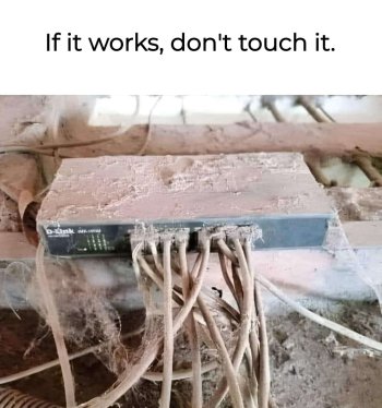 1737493988434.jpeg