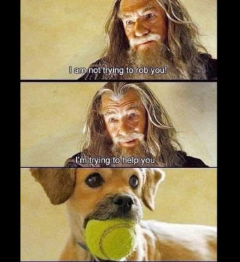 1737513453922.png