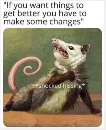 1737559593034.jpeg