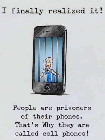1737563974612.jpeg