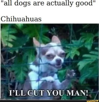 1737568402190.jpeg