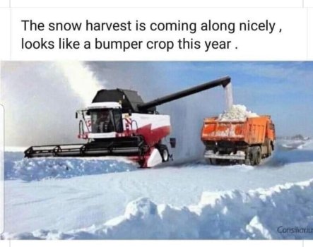 1737744854996.jpeg