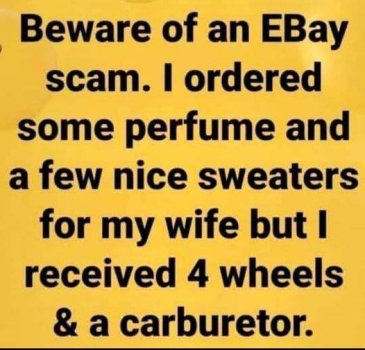 scam.jpg
