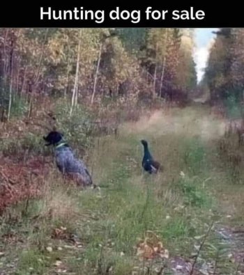 1738069725871.jpeg