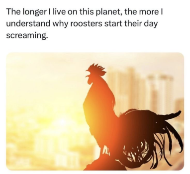 1738080000395.png