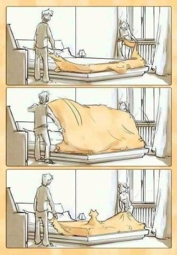 1738190864710.jpeg