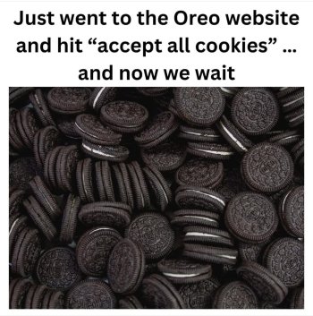 1738194682555.jpeg