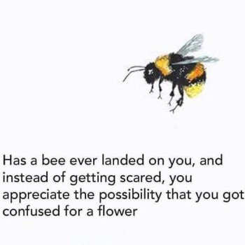 1738195360359.jpeg
