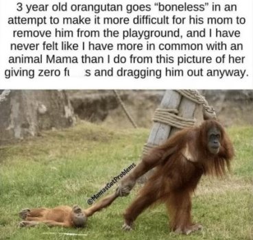 1738213909578.jpeg