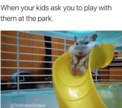 1738214192152.jpeg