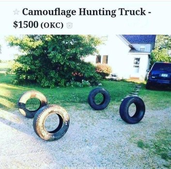 1738353583775.jpeg