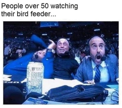 1738375224969.png