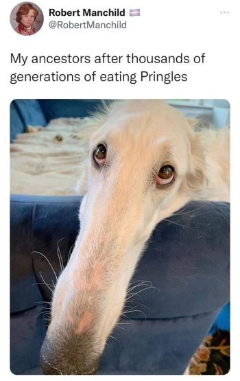 1738433802499.jpeg