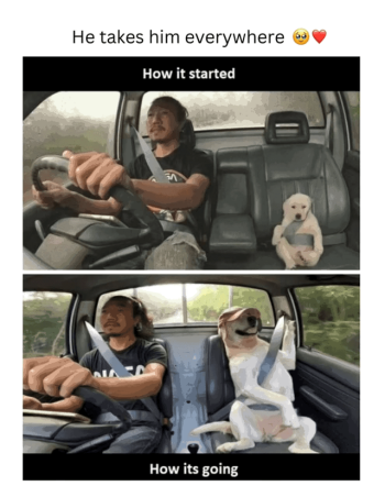 1738433863718.png
