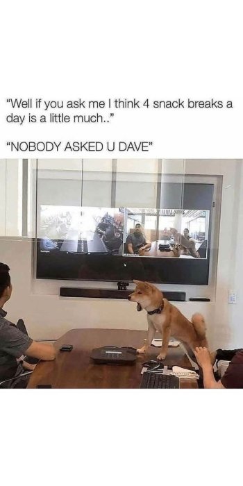 1738472338102.jpeg
