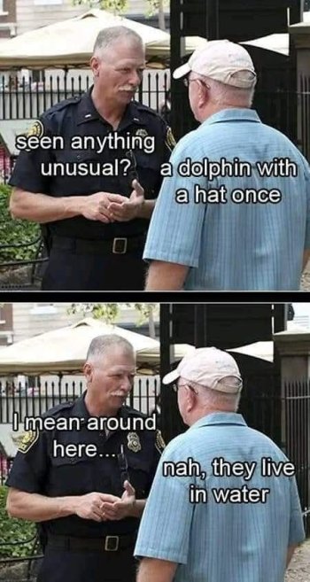 1738584383514.jpeg