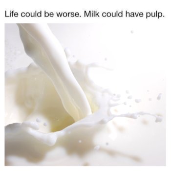 1738592980528.jpeg