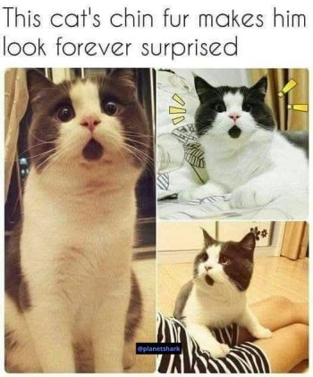 1738991609857.jpeg
