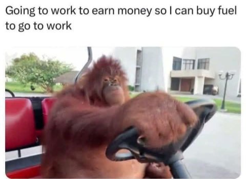1739020480618.jpeg