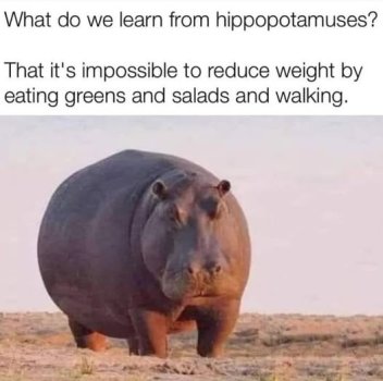 1739246865273.jpeg