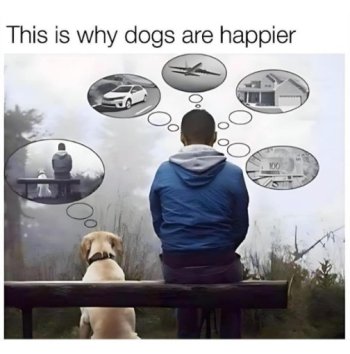 1739248733196.jpeg