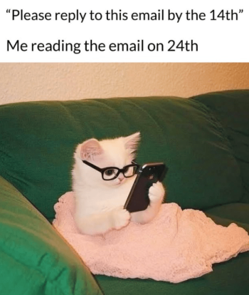 1739262290794.png