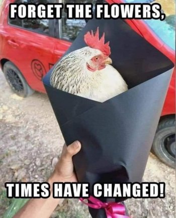 chicken flowers.jpg