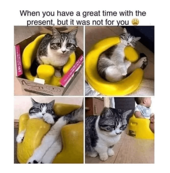 1739347018306.png