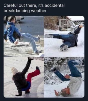1739395798073.jpeg