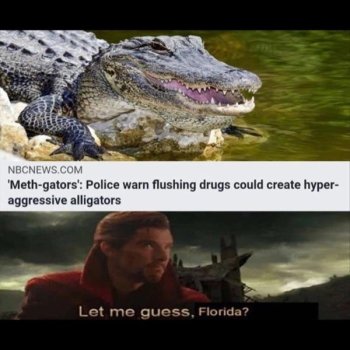 1739410587625.jpeg