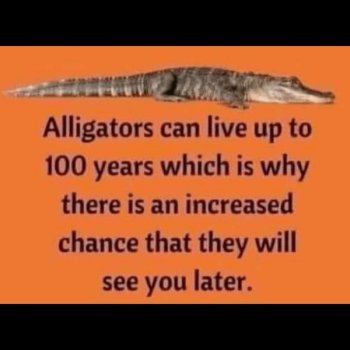 1739410715170.jpeg