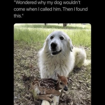 1739410759165.jpeg