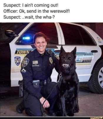 1739470616499.png