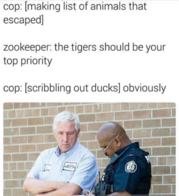 1739470714565.png