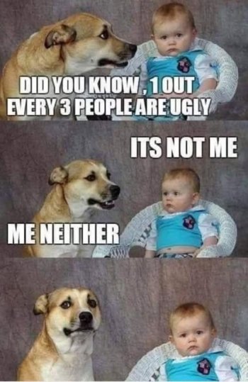 1739494327565.jpeg