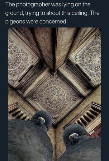 1739585960085.jpeg