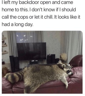 1739606285183.png