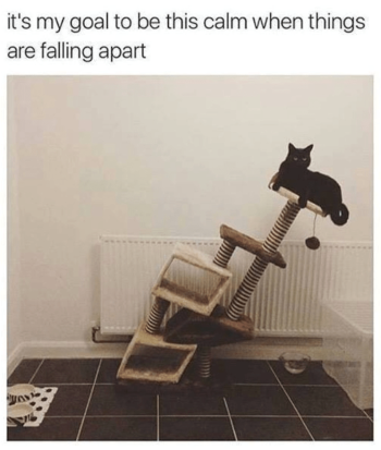 1739606426392.png