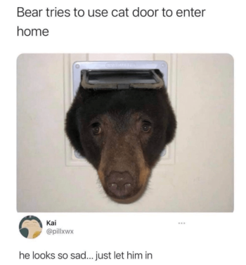 1739606513089.png