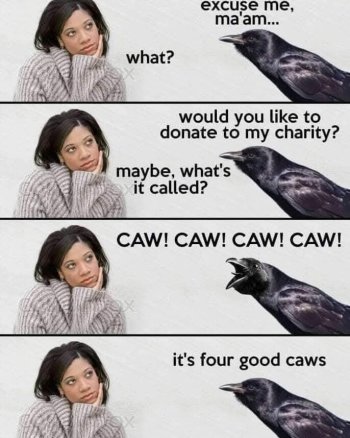 1739647851404.jpeg