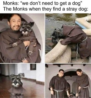 1739677404620.jpeg