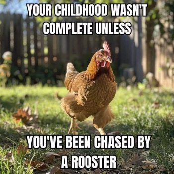 1739678149730.jpeg