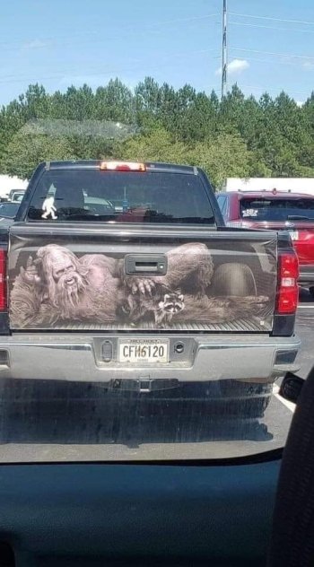 wrap.jpg