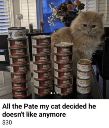 1739797192342.png