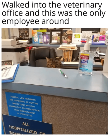 1739797312310.png