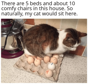 1739797347830.png