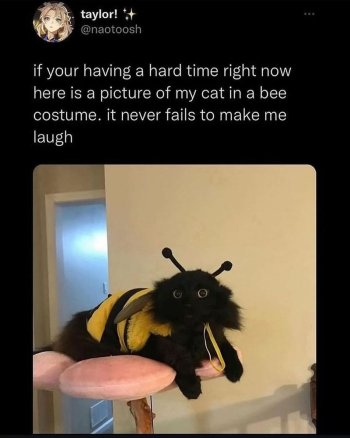 1739843887353.jpeg