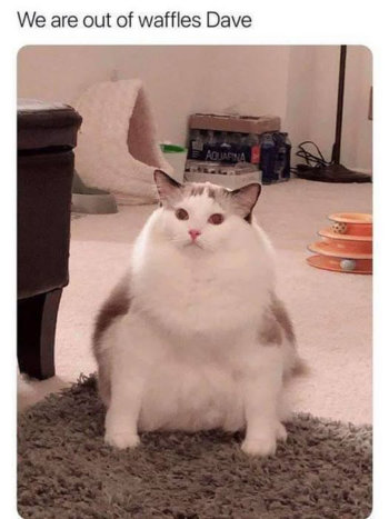1739978292699.png