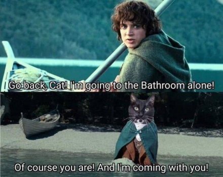 1740056940231.jpeg